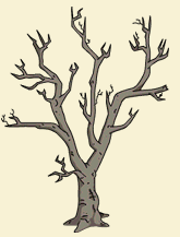 arbre mort